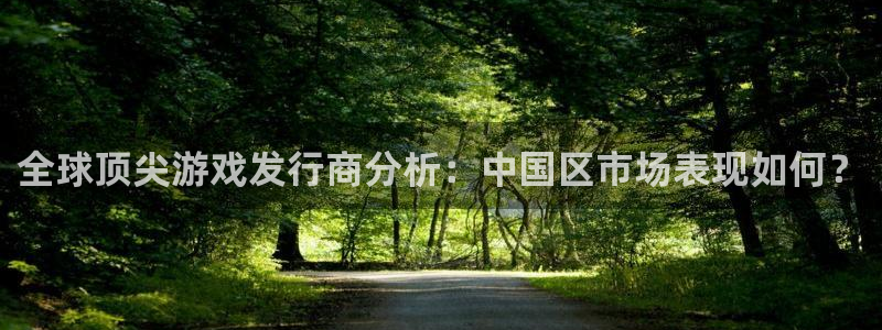 亿万28官网注册方法是什么软件：全球顶尖游戏发行商分析：中国区市场表现如何？