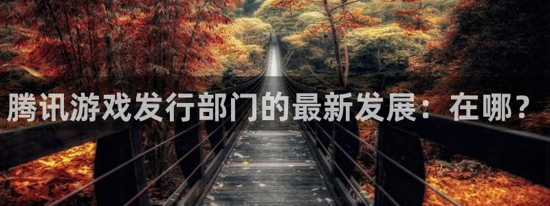 亿万28官网平台注册账号注意事项：腾讯游戏发行部门的最新发展：在哪？