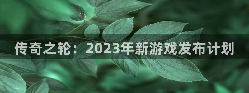 亿万28官网注册方法是什么样的：传奇之轮：2023年新游戏发布计划