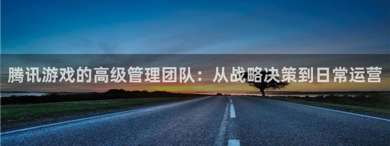 亿万28官网注册平台怎么注册的：腾讯游戏的高级管理团队：从战略决策到日常运营