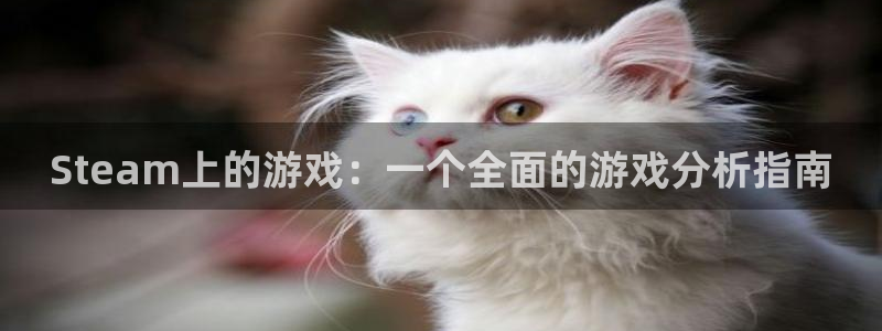 亿万28官网客服服务怎么样：Steam上的游戏：一个全面的游戏分析指南