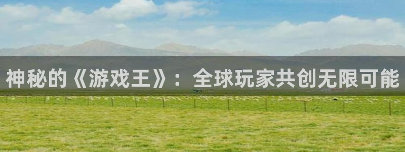 法国亿万28：神秘的《游戏王》：全球玩家共创无限可能
