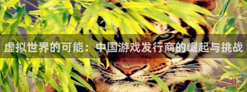 江苏亿万28智得：虚拟世界的可能：中国游戏发行商的崛起与挑战