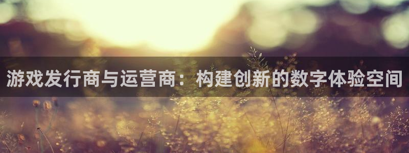 亿万28子图书：游戏发行商与运营商：构建创新的数字体验空间