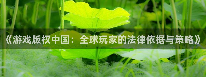 亿万28官网注册地址：《游戏版权中国：全球玩家的法律依据与策略》
