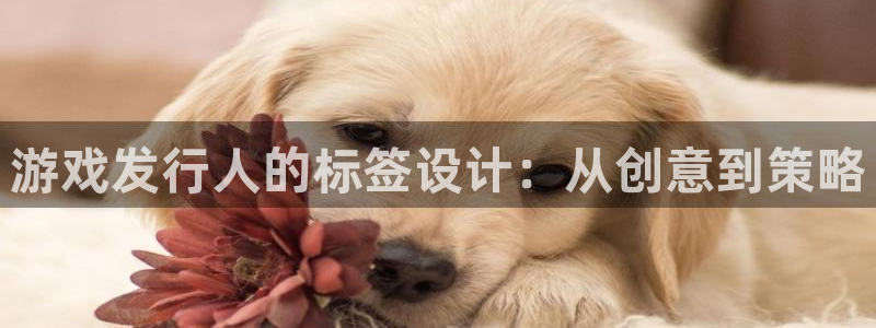 亿万28品牌策划团队介绍：游戏发行人的标签设计：从创意到策略