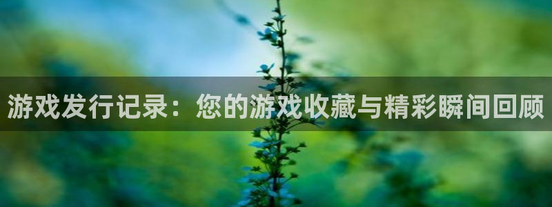 亿万28子公司怎么样：游戏发行记录：您的游戏收藏与精彩瞬间回顾