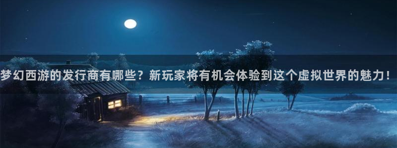 亿万28官网注册方法视频下载：梦幻西游的发行商有哪些？新玩家将有机会体验到这个虚拟世界的魅力！