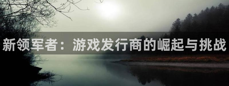亿万28多少钱：新领军者：游戏发行商的崛起与挑战